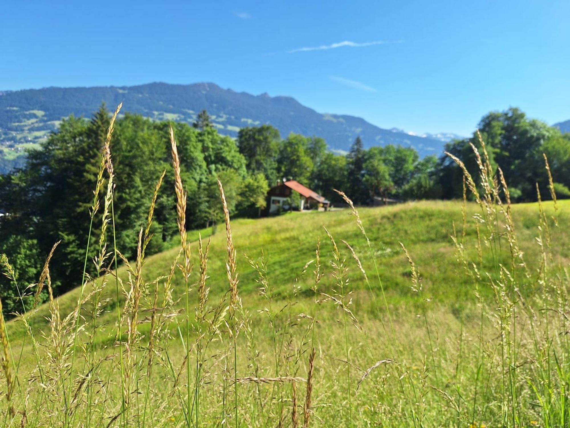 Bergmomente Montafon Ferienhaus Bitschweil Villa Tschagguns Exterior photo